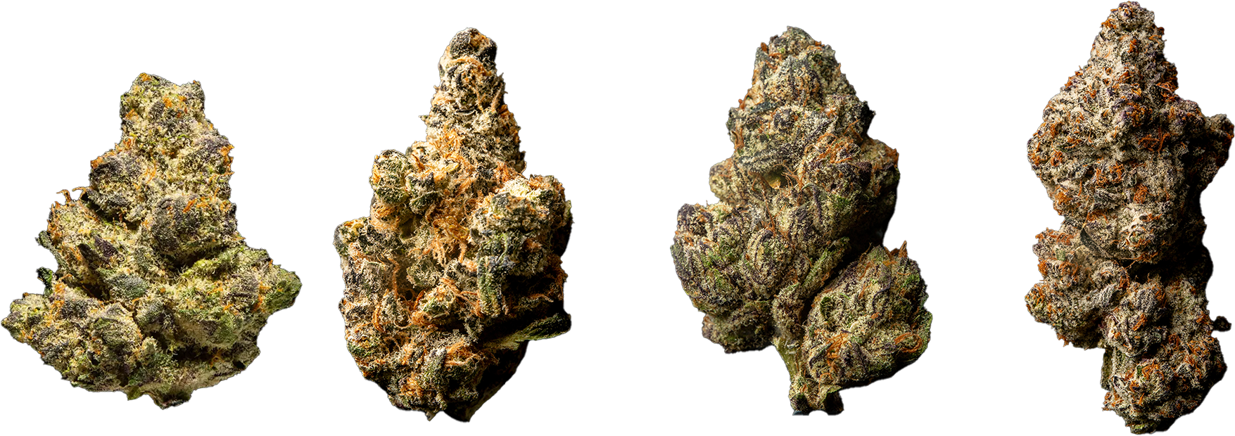 Hemp flower