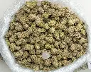 Blueberry Blast Indoor -BAG- 072125 20250718MHPCC.webp