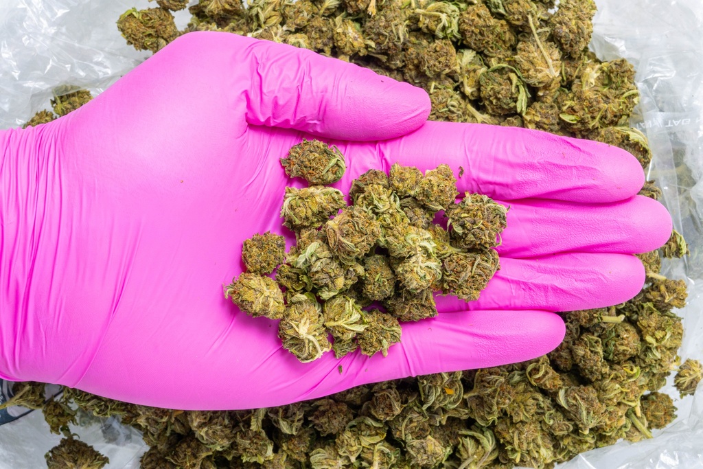 Cookies Smalls CBD- Glove.webp