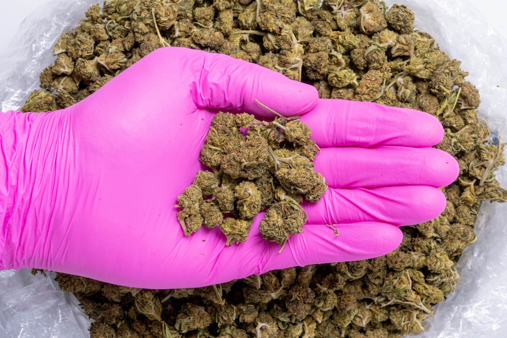 Diesel Smalls (CBD) Glovepic.webp