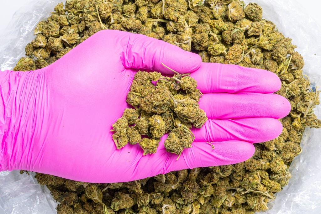 Diesel Smalls (CBD) Glovepic.webp
