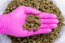 Diesel Smalls (CBD) Glovepic.webp