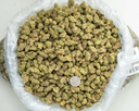 Hooch Indoor Mediums -BAG- 080125 20250731TVGBM.webp