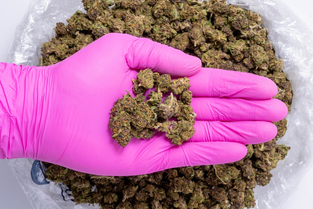 Fruity Pebbles Small- Glove.webp