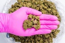 Fruity Pebbles Small- Glove.webp