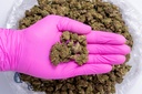 Fruity Pebbles Small- Glove.webp