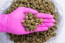 Godfather Smalls CBD- Glove.webp