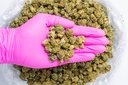 Godfather Smalls CBD- Glove.webp