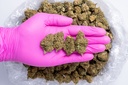 Bubba 59 Glovepic.webp