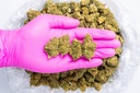 Bubba 59 Glovepic.webp