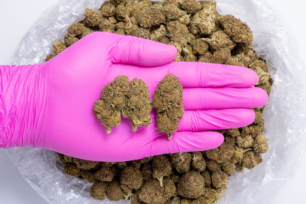 Bubba Kush CBD- Glove.webp
