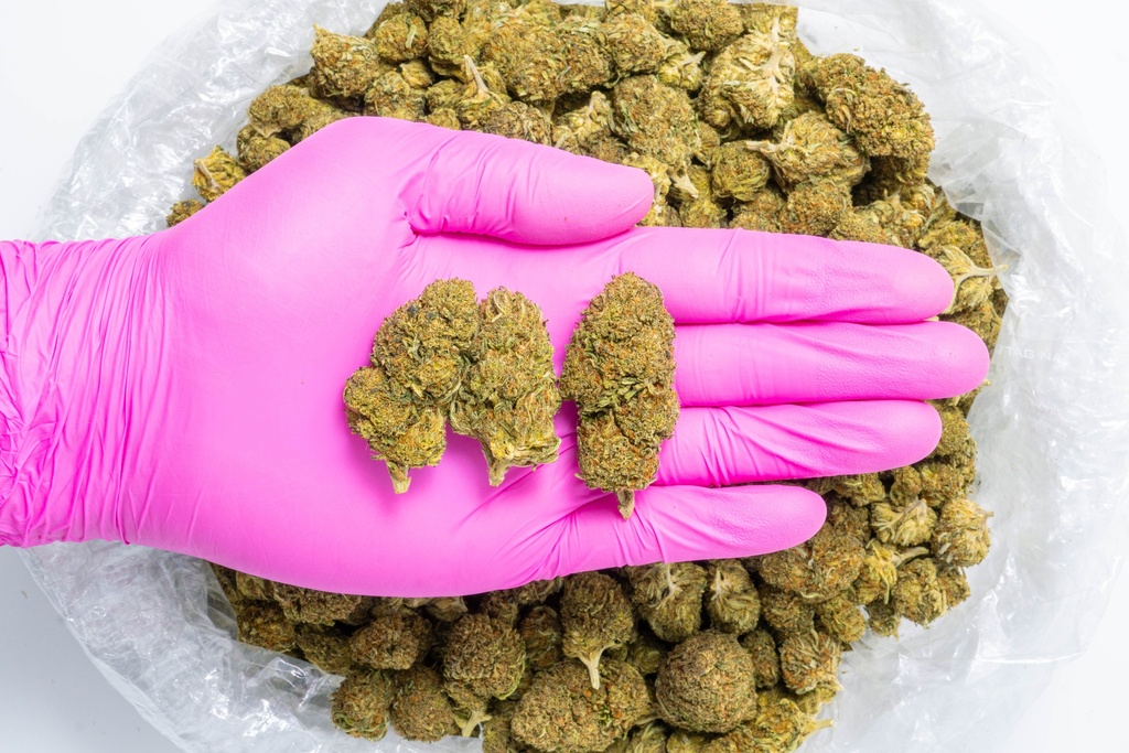 Bubba Kush CBD- Glove.webp