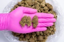 Bubba Kush CBD- Glove.webp