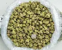 Lipsmackerz Indoor Mediums -BAG- 080125 20250731TVLSM.webp