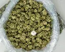 Banaconda Indoor -BAG- 071825 20250718MHMBG.webp