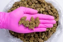 Cakeberry CBD- Glove.webp