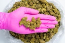 Cakeberry CBD- Glove.webp