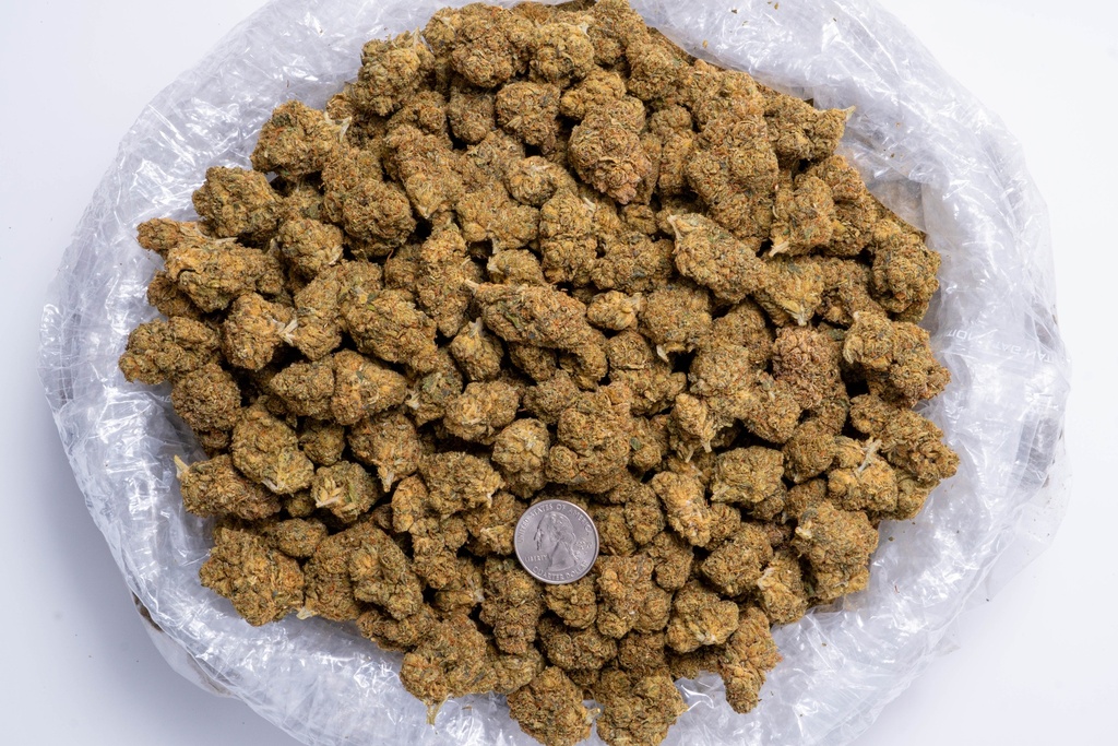 Diesel Quarterpic.webp