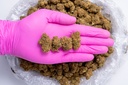 Diesel Glovepic.webp