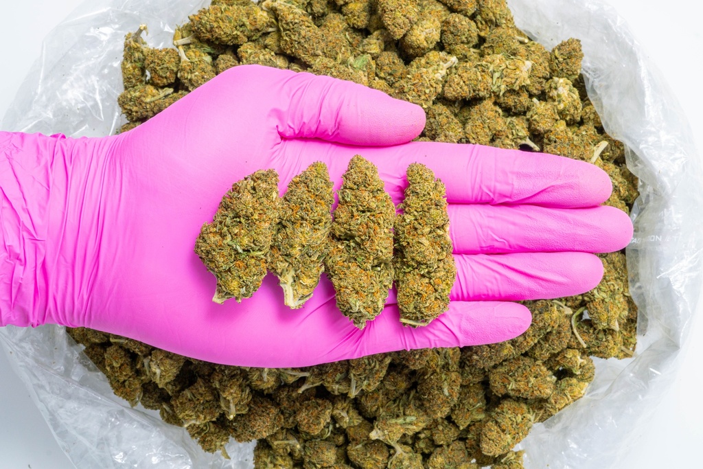 Godfather CBD- Glove.webp