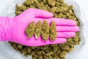 Godfather CBD- Glove.webp