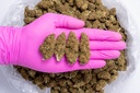 Godfather CBD- Glove.webp