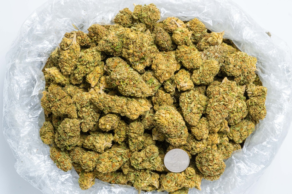 Royal OG Quarterpic.webp