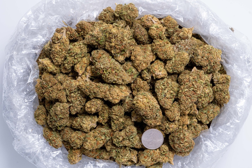 Royal OG Quarterpic.webp
