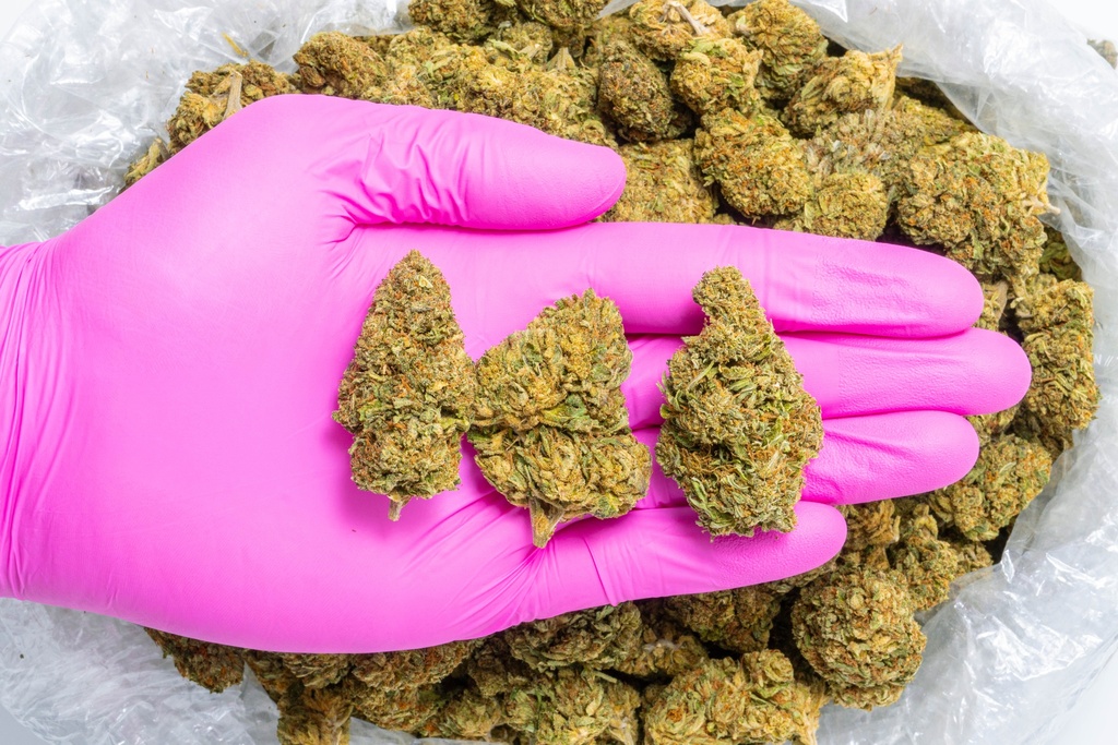 Royal OG gloves.webp