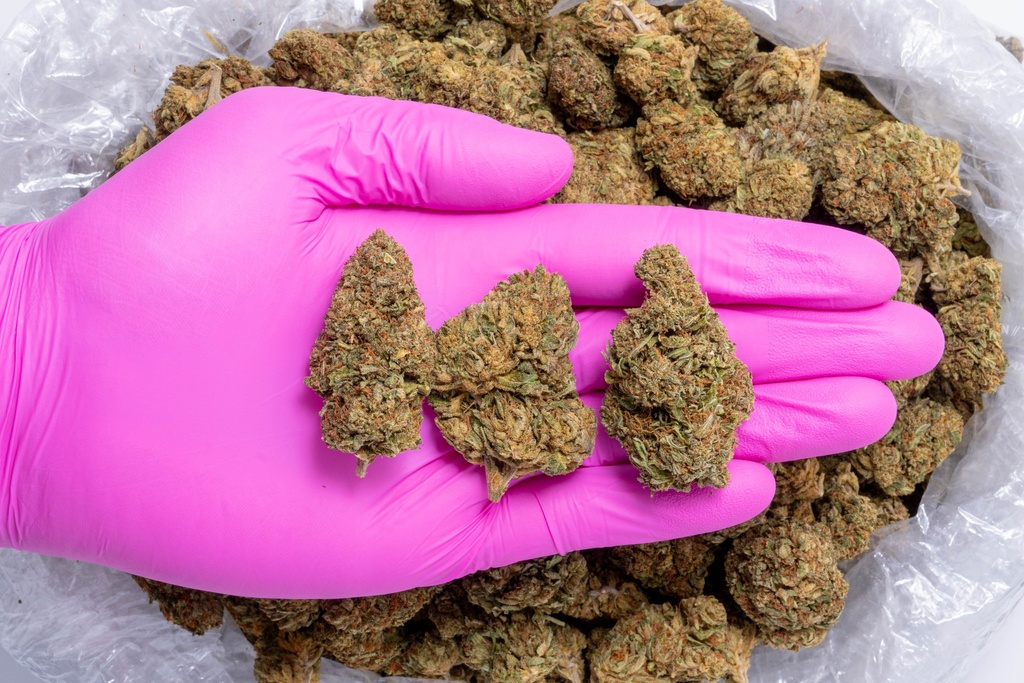 Royal OG gloves.webp