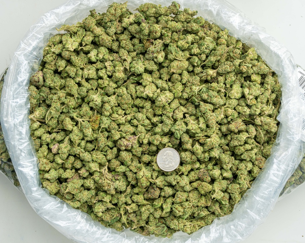 Lemon Cherry Gelato Indoor Smalls -BAG- 071825 20250718MHLCS.webp