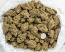 Demon King -BAG- 20250707.webp
