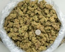 Hooch Indoor.webp