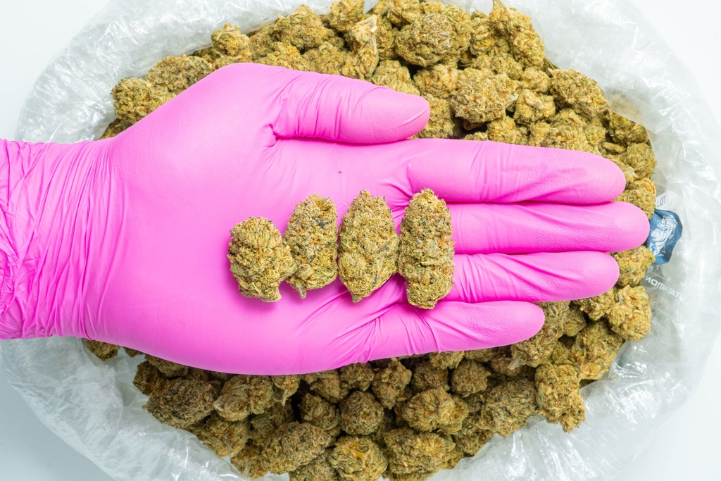 Habibi Indoor CBD-Glove 7-25-25.webp