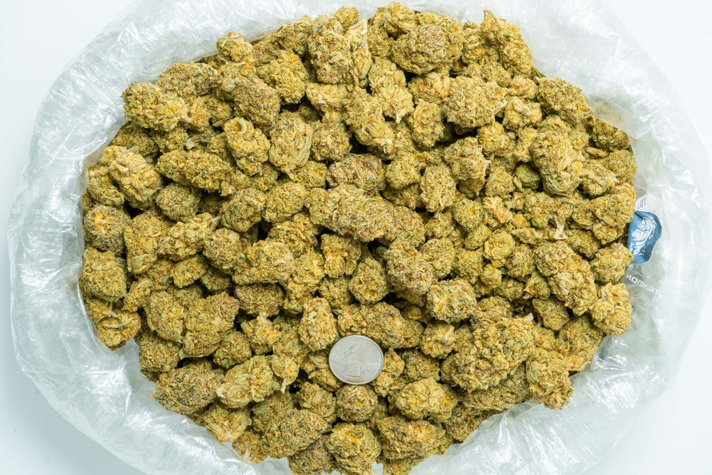 Habibi Indoor CBD-Bag 7-25-25.webp