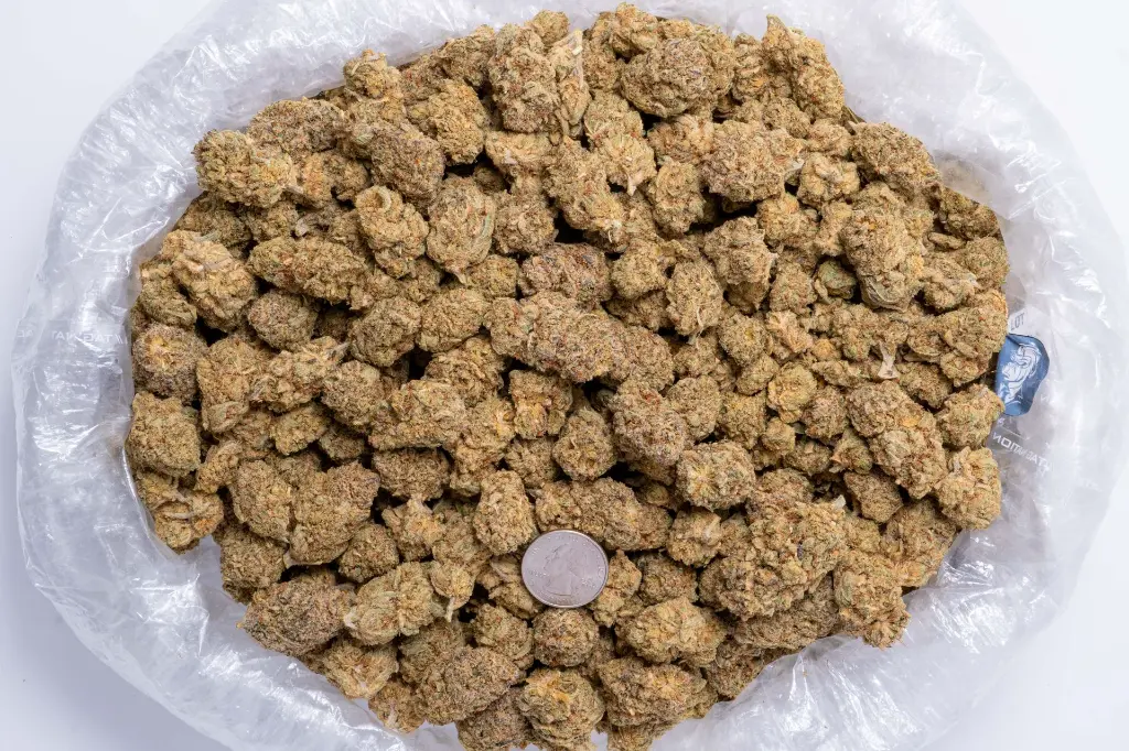 Habibi Indoor CBD-Bag 7-25-25.webp