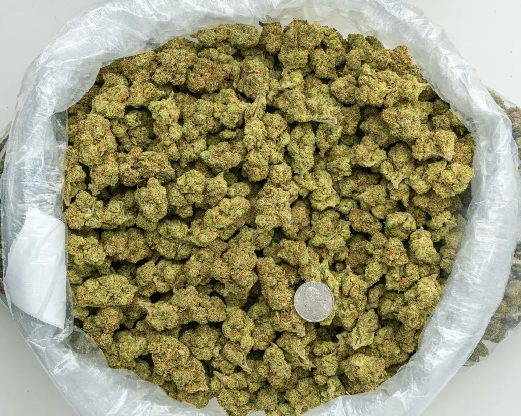 Clementine -BAG- 072825 20250725ACCCK.webp
