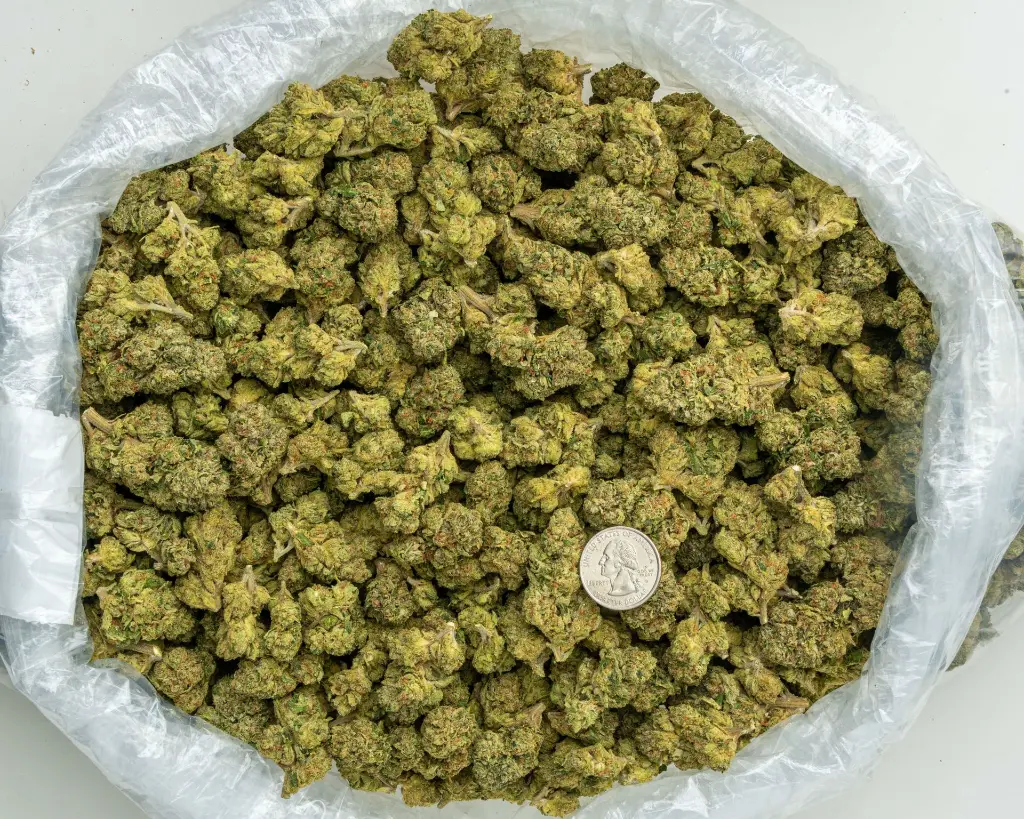 Green Crack -BAG- 072825 20250725ACHED.webp