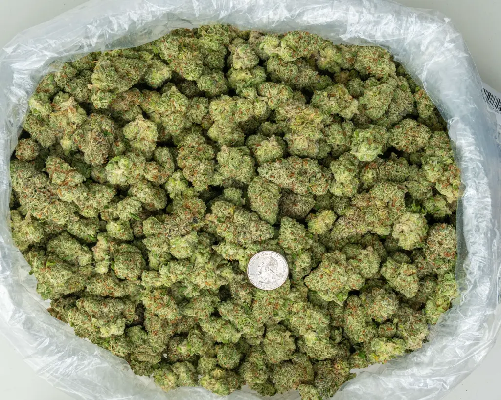 Gas Mints Indoor -BAG- 071825 20250718MHMCP.webp