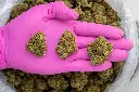 RS-11 -PINK- 072125 20250718THR11.webp