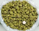 Sherbet -BAG- 072825 20250725ACPGS.webp