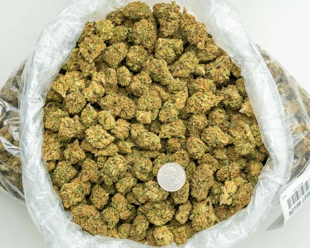 Sweet Melon -BAG- 072125 20250718THSWM.webp