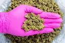 Lantz Indoor Smalls-Pink 8-14-25.webp