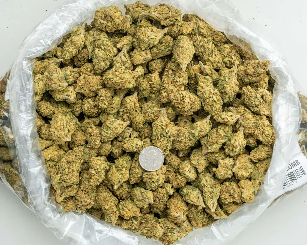 Patrol Bomb -BAG- 081325 20250813FGPTB.webp