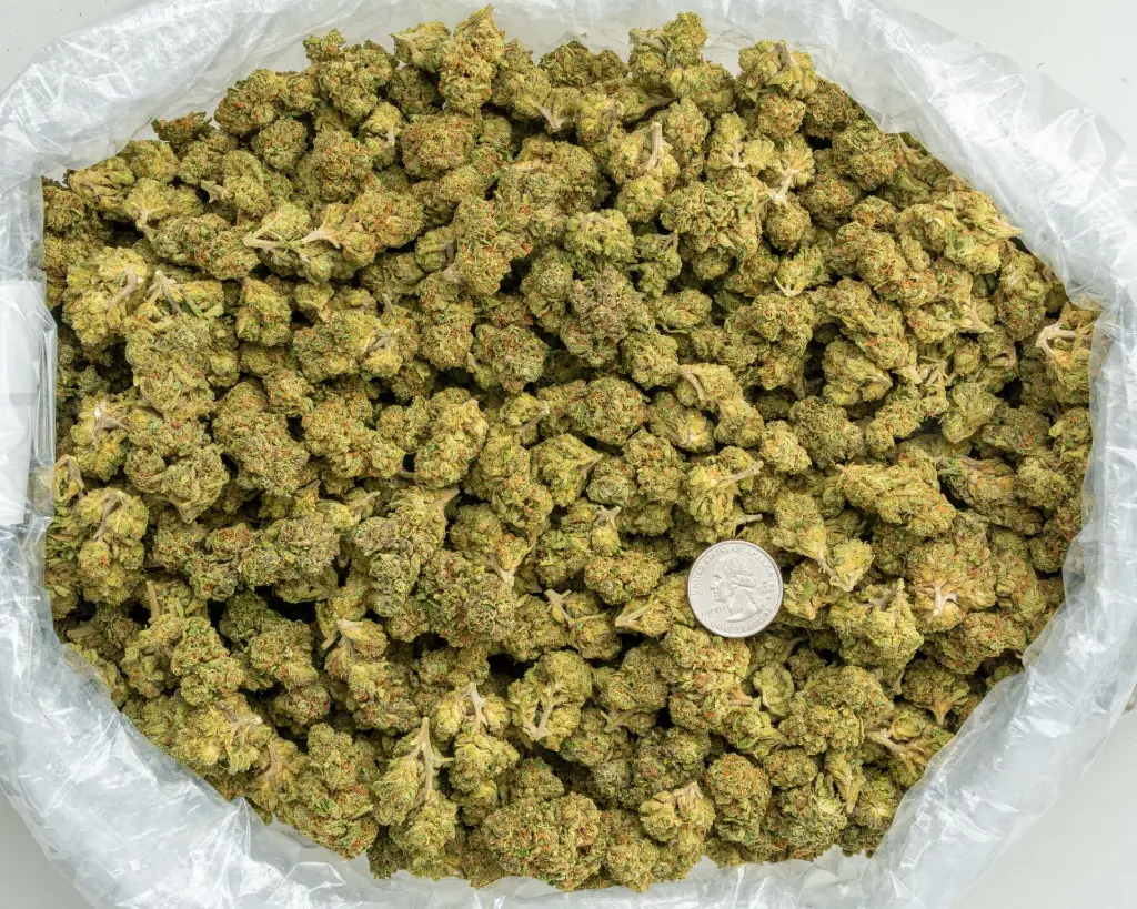 Nimbus Snacks -BAG- 081125 20250806ACNBS.webp