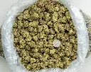 Gummiez Indoor -BAG- 081525.webp