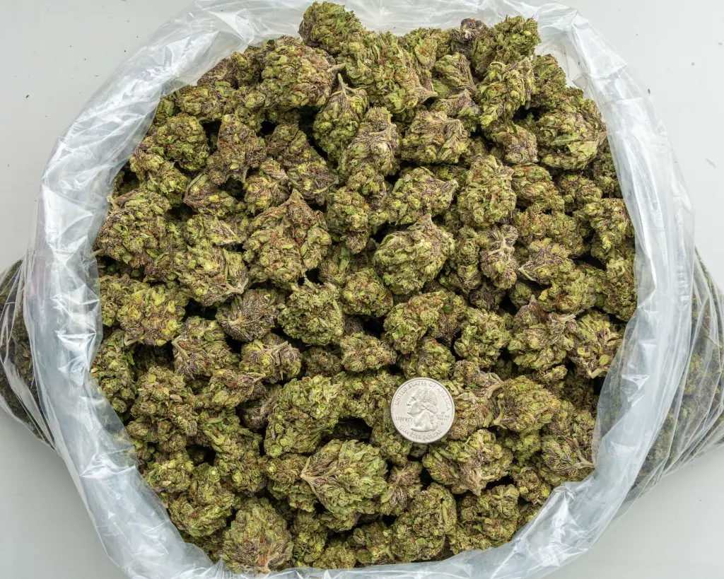 Astro Candy  -BAG- 081325.webp