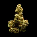 LA Pop Rocks Indoor -FLOAT- 081525.webp