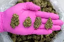 Cherry Popperz-PINK- 081325.webp