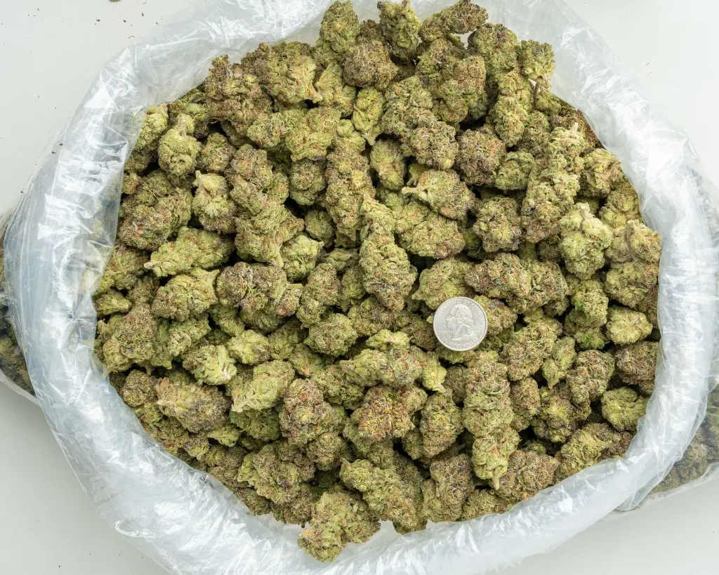 Garlic Truffle -BAG- 081125 20250806FHASB.webp